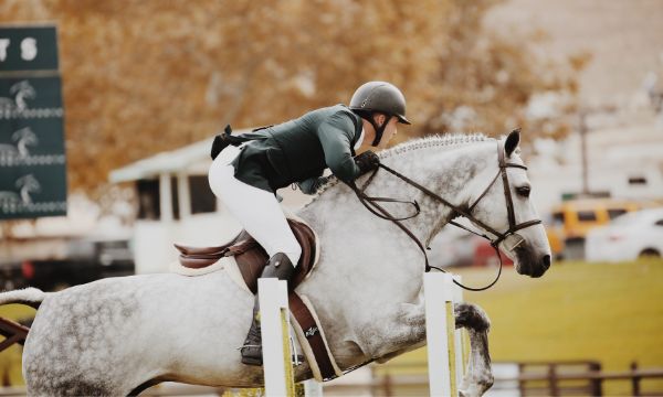 Jockey on horseback